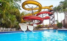 Caldas Novas Golden Dolphin